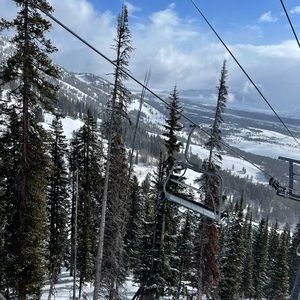 Meet your Posher, Phoebe